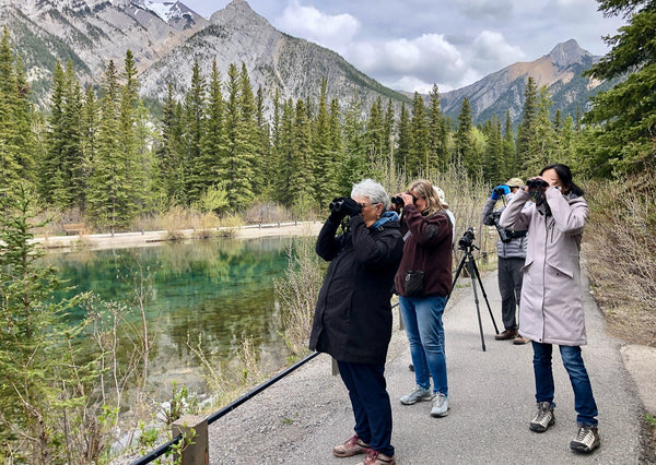 Eagle Eye Tours - Canadian Rockies: Waterton