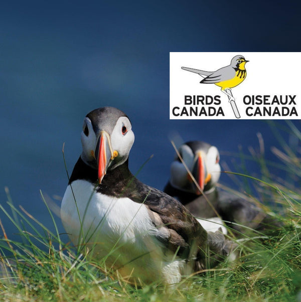 Eagle Eye Tours - Grand Newfoundland tour