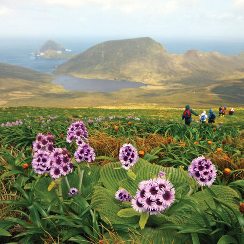 Subantarctic Islands Cruise for Nov 22, 2026 to Dec 3, 2026 / Main Deck Triple
