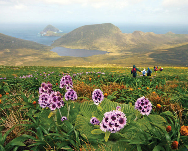 Eagle Eye Tours - Subantarctic Islands Cruise