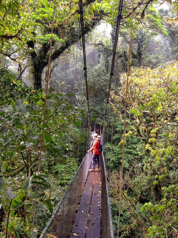 Eagle Eye Tours - Costa Rica Birding