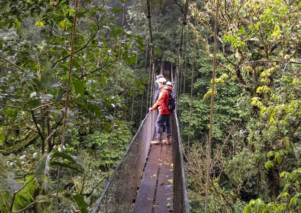 Eagle Eye Tours - Costa Rica Birding with Canadian Geographic