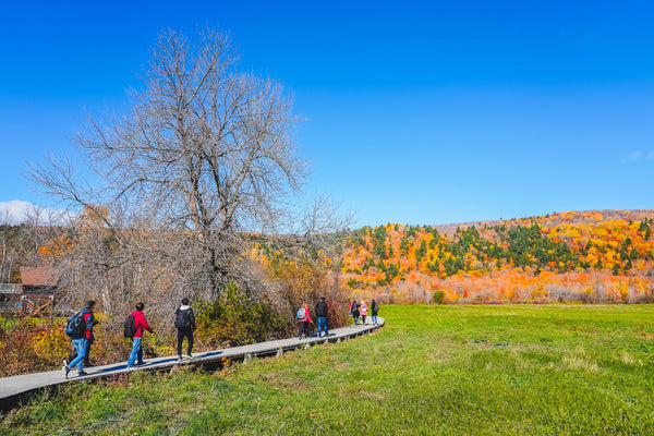 Eagle Eye Tours - Quebec in Fall: Birds & Whales