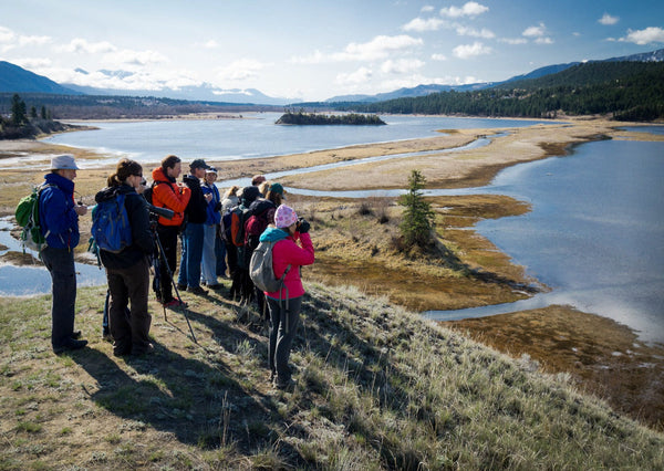 Eagle Eye Tours - Birds & Conservation in the Columbia Valley