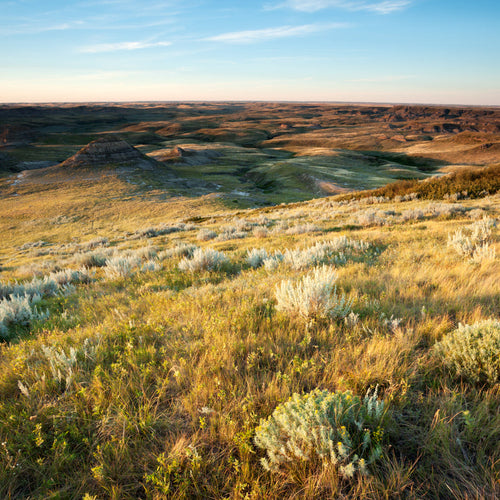 Saskatchewan in Spring for May 23, 2026 to May 31, 2026