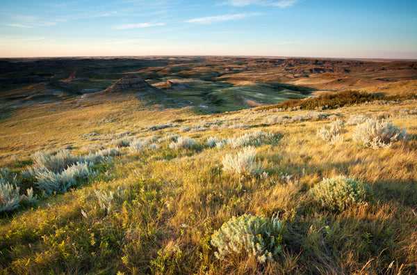 Eagle Eye Tours - Saskatchewan in Spring