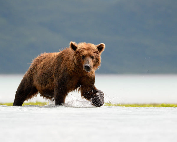 Eagle Eye Tours - Southeast Alaska Sailing