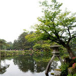 Japan's National Parks, Arts & Culture Cruise for May 31, 2027 to Jun 15, 2027