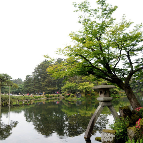 Japan's National Parks, Arts & Culture Cruise for May 31, 2027 to Jun 15, 2027 / Main Triple