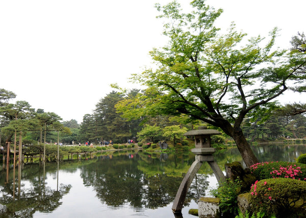 Eagle Eye Tours - Japan's National Parks, Arts & Culture Cruise