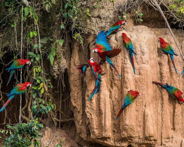 Eagle Eye Tours - Southern Peru
