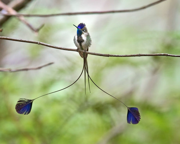 Eagle Eye Tours - Northern Peru