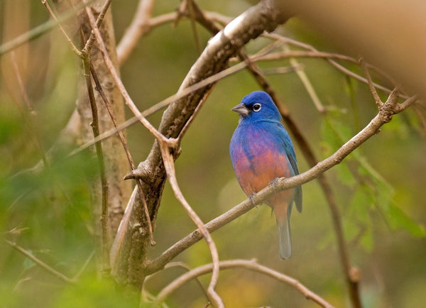 Eagle Eye Tours - Southern Mexico Tour