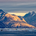 Iceland to Greenland Cruise for Jun 28, 2026 to Jul 10, 2026