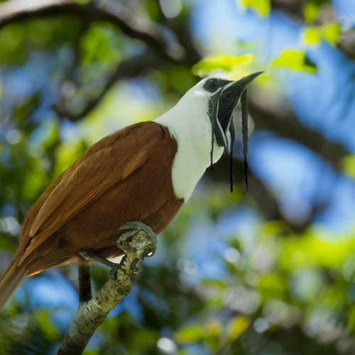Costa Rica North for Apr 24, 2027 to May 6, 2027