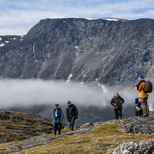 Greenland & Wild Labrador Cruise for Aug 28, 2026 to Sep 11, 2026 / Category 1