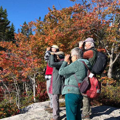 Quebec in Fall: Birds & Whales for Sep 18, 2026 to Sep 27, 2026