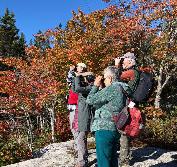 Eagle Eye Tours - Quebec in Fall: Birds & Whales
