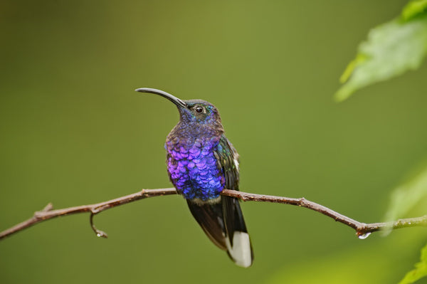 Eagle Eye Tours - Southern Mexico Tour